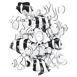 HUMBUGS CLOWNS 03874SA2.gif